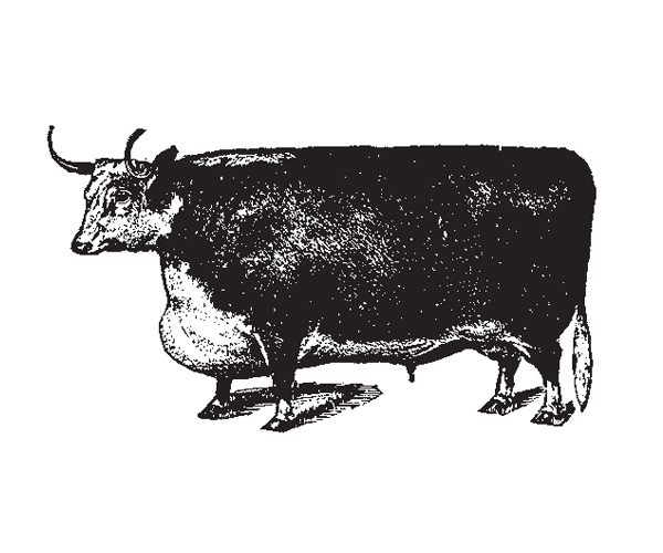 beef Kettle Range Meat Co.